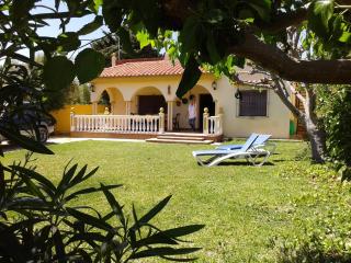 La Morera, El Palmar - 0