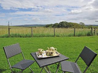 Lapwing Cottage - E5028 - Birtley - 2