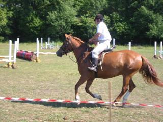 Kõljala puhkeküla - 6