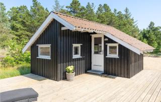 Awesome Home In Blåvand With Sauna - Blåvand - 4