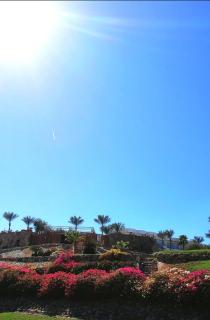 Queen Sharm Italian Club - Sharm el Sheikh - 5