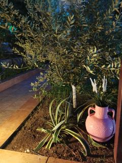 Purple_Rose_Apartment - Hanioti - 2