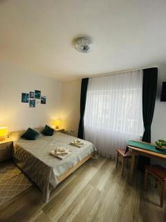Island apartman - Odorheiu Secuiesc - 9