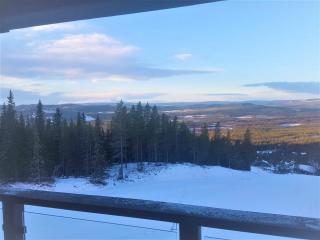 Björnrike Vemdalen utsikt över Sonfjället - Vemdalen - 6