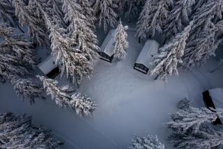 Tumba Sisli Vadi - 9