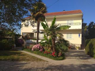 Studio Apartmani Krstina - Sukošan - 0