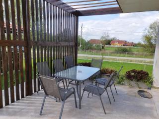 Pensiunea Florilor Satu Mare - 2