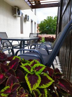 Pensiunea Florilor Satu Mare - Satu Mare - 1