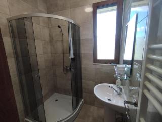 Pensiunea Florilor Satu Mare - Satu Mare - 4