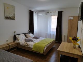 Pensiunea Florilor Satu Mare - Satu Mare - 9