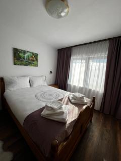 Rustic Maramureș - Ocna Şugatag - 2