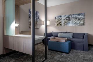 SpringHill Suites by Marriott Charlotte Huntersville - Huntersville - 2
