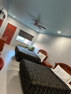 La Copa Inn Alamo - 6