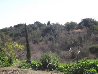 mer et campagne - Cervione - 3