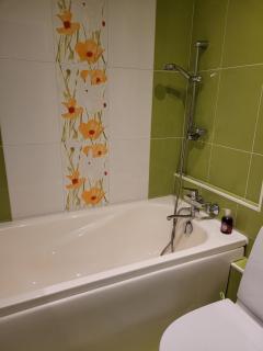 City apartament - Jelgava - 5