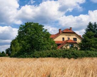 Garni-Hotel Kranich - Potsdam - 6