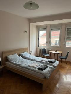 Apartman Lena - Belgrado - 8