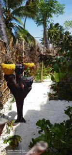 Wow Beach House - Jambiani - 3