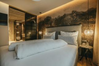 Black Eagle Luxury Appartements - Mayrhofen - 2
