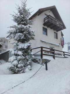Cabana Antonia - Straja - 3