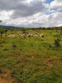 Casa de Campo - Casa da Ribeira - 9