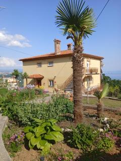 Apartmani Marini - 8