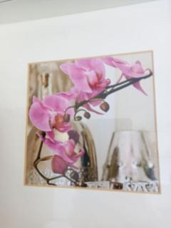 Apartamento tranquilo cerca de zonas verdes - 3