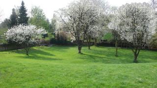 Hotel Villa Falkenberg - Düsseldorf - 5