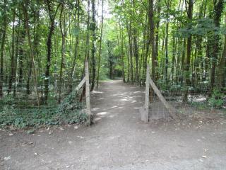 Kosly garden Robertsau - Strasbourg - 2