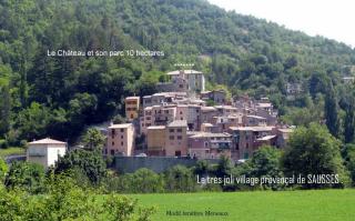 Chateau Notre Dame de Sausses - Sausses - 2