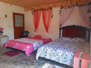Finca Alto Bonito - Doradal - 9