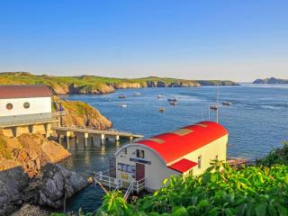 Cwm Eithin Cerbid - Cottage - 8