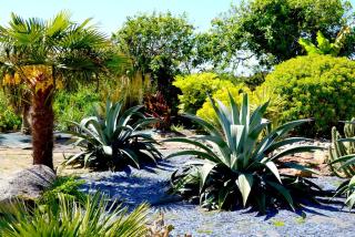 Chambres d'Hôtes Le Nid d'Iroise - 3