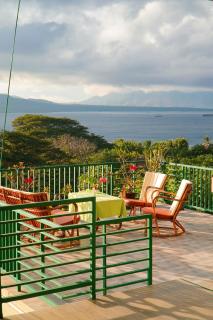 Bella Vista Premium Homestay - Banyuwangi - 5