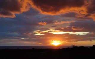 côte et mer - appartement haut standing dans villa avec piscine et vue mer - 6