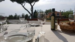 Agriturismo Le Serre - Riparbella - 5