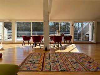 Sonnige Loft mit Terrasse, Ladestation für Elektrofahrzeuge - Schindellegi - 6
