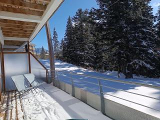 Appartement 2 chambres avec une grande Terrasse Accès gratuit Piscine, Jacuzzi, salle de sport - Chamrousse - 8