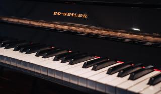 MOLO house - cosy house with sunny garden and bbq in silent surroundings - near the BEACH - ideal for families and quiet groups - 15 km from BRUGES - 6