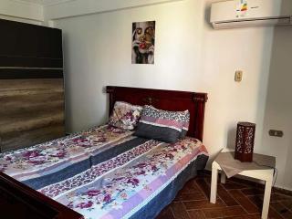 The White Oasis Family Villa - Alessandria d'Egitto - 7