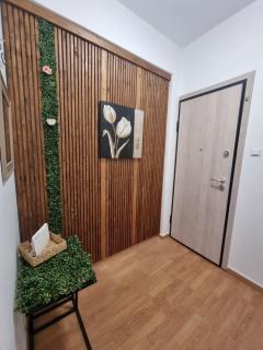 PINE TREE apartment - Artemida - 9