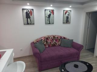Adrijana 2 Apartmani - Vrnjačka Banja - 3