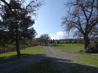 Podere Travagliola - 7