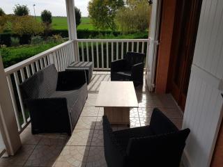 Grand Appartement avec cheminée dans maison, parking gratuit - Mionnay - 7