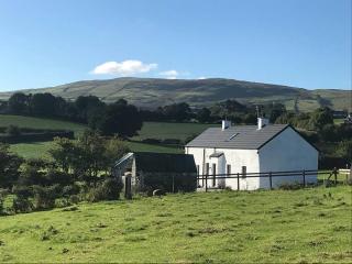 Mournes Family Cottage with Hot Tub - Hilltown - 1