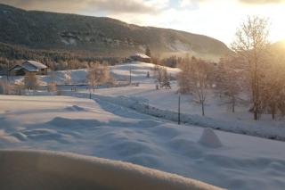 Les Chamois - Lajoux - 9