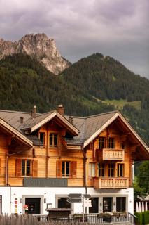 Hotel-Restaurant Valrose - Gstaad - 5