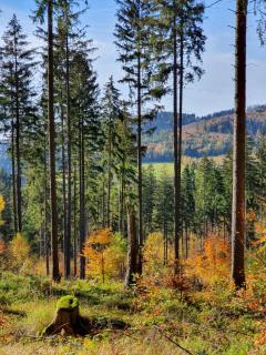 Księżycowa Dolina - Lądek-Zdrój - 1
