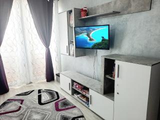Apartament BriFla Comfort Mureș - Târgu Mureș - 4