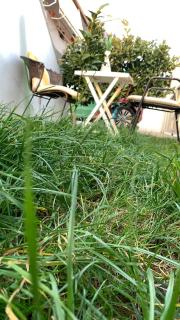 Priam Garden - Durazzo - 3